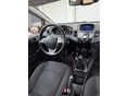 FORD FIESTA 2014/3 - 10