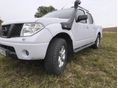 NISSAN NAVARA 2006/4 - 1