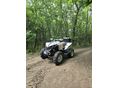 CAN-AM RENEGADE 2011/7 - 2