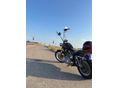 HARLEY-DAVIDSON SPORTSTER 2000/9 - 1