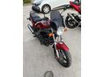 SUZUKI GS 500 E 1996/6 - 5
