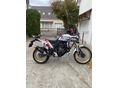 YAMAHA TÉNÉRÉ 700 2024/5 - 4
