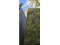 RENAULT MASTER 2021/9 - 6