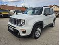 JEEP RENEGADE 2021/3 - 2