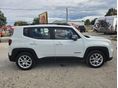 JEEP RENEGADE 2021/3 - 4