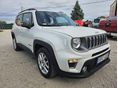 JEEP RENEGADE 2021/3 - 5