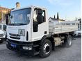 IVECO 2014/5 - 2
