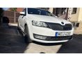 SKODA RAPID 2013/12 - 1