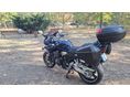 SUZUKI GSF 1200 S (BANDIT) 2002/5 - 8