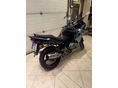SUZUKI GS 500 F 2004/5 - 4