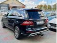 MERCEDES-BENZ ML 250 2013/5 - 6