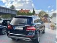 MERCEDES-BENZ ML 250 2013/5 - 9
