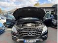 MERCEDES-BENZ ML 250 2013/5 - 12