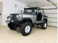 JEEP WRANGLER 1991/6 - 1