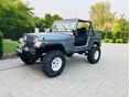 JEEP WRANGLER 1991/6 - 4