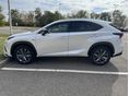 LEXUS NX 2019 - 1