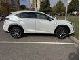 LEXUS NX 2019 - 2