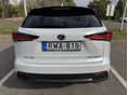 LEXUS NX 2019 - 5