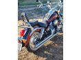 HONDA VT 750 2003 - 3