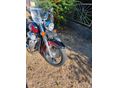 HONDA VT 750 2003 - 9