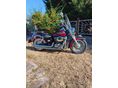 HONDA VT 750 2003 - 10