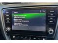SKODA OCTAVIA 2019/7 - 8