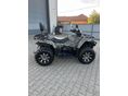 CFMOTO CFORCE 450 2023/12 - 3