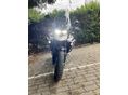 TRIUMPH TIGER 900 2020/8 - 11