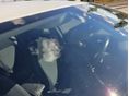OPEL ASTRA K 2016/9 - 10