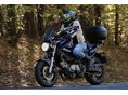 SUZUKI SV 650 N 2009/6 - 1