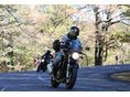 SUZUKI SV 650 N 2009/6 - 2