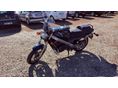 HONDA NTV 650 1996/7 - 9