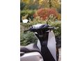 HONDA SH 125 2024/4 - 4