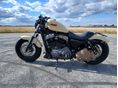 HARLEY-DAVIDSON SPORTSTER 2008 - 1