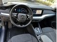 SKODA OCTAVIA 2023/4 - 11