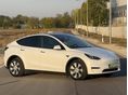 TESLA MODEL Y 2021/11 - 1