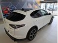 ALFA ROMEO STELVIO 2024/2 - 3