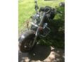 SUZUKI VL 1500 (INTRUDER) 2003/7 - 1