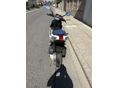 APRILIA SR 2010/4 - 3