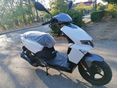 LINEA NOVO 2026 - 5