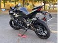 KAWASAKI ZX-4R (NINJA) 2026 - 3