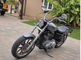 HARLEY-DAVIDSON SPORTSTER 883 2013/12 - 14