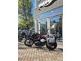 TRIUMPH SCRAMBLER 2024/11 - 2