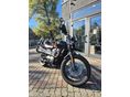 TRIUMPH SCRAMBLER 2024/11 - 3