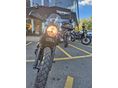TRIUMPH SCRAMBLER 2024/11 - 6