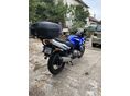 SUZUKI GS 500 F 2004/8 - 4