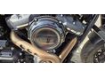 HARLEY-DAVIDSON FAT BOB 2019/6 - 8