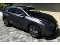 LEXUS NX 2016/5 - 1