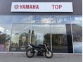 TRIUMPH STREET TRIPLE 675 2009/6 - 1