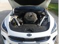 KIA STINGER 2020/5 - 12
